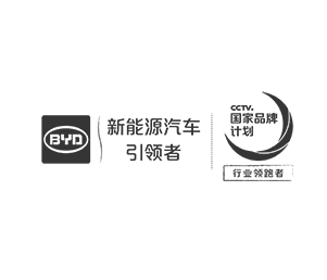 比亚迪